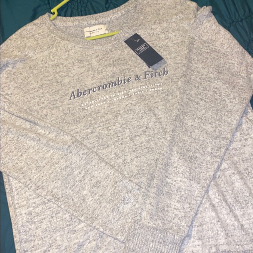 Abercrombie and Fitch Sweatshirt